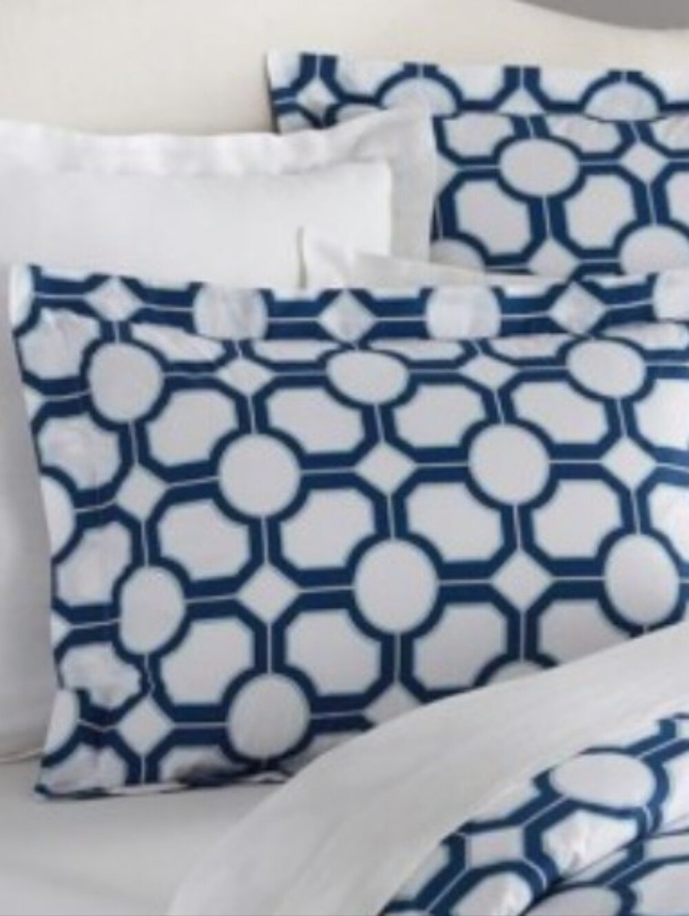 NEW Pottery Barn Nova Geo Standard Sham